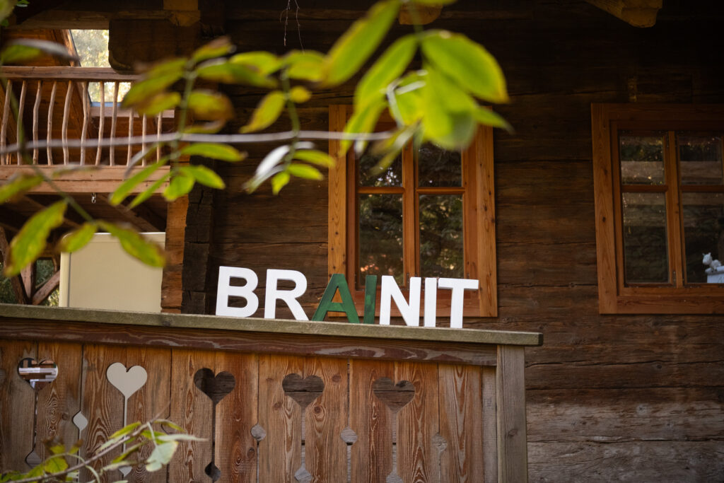 BRAINIT-Schriftzug